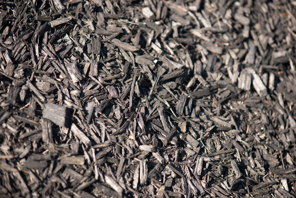 Black mulch free stock pic