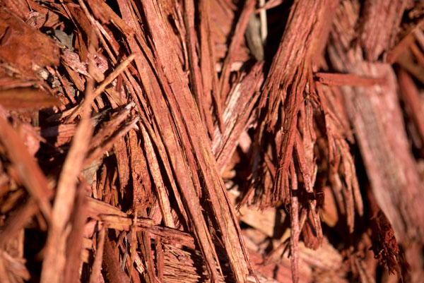Red mulch free stock photo