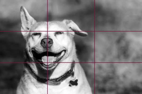 Rule of thirds in photography