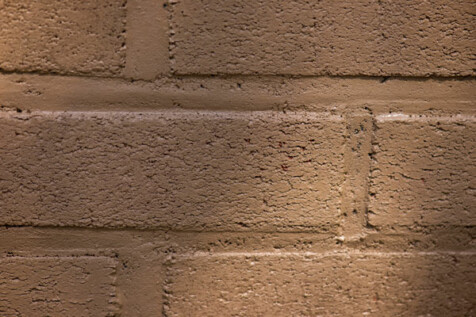 <a class="white" href="https://www.dropbox.com/s/0r4bjb8laxxung7/brick-texture.jpg?dl=1">Download High-Resolution Photo</a> Brick wall texture free stock photo