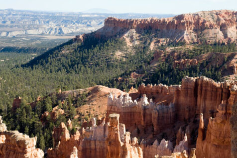 <a class="white" href="https://www.dropbox.com/s/nmzowip3ei1ewew/bryce-canyon-park-trees.jpg?dl=1">Download High-Resolution Photo</a> Bryce Canyon landscape free photo