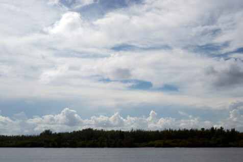 <a class="white" href="https://www.dropbox.com/s/yqyh6c54a50or8x/miami-landscape.jpg?dl=1">Download High-Resolution Photo</a> Miami landscape free stock photo