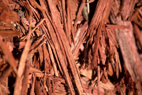 <a class="white" href="https://www.dropbox.com/s/ywjimkj9f91m4i1/red-mulch-close-up.jpg?dl=1">Download High-Resolution Photo</a> Red mulch free stock image
