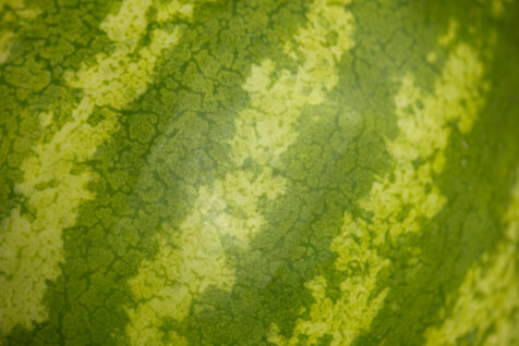 <a class="white" href="https://www.dropbox.com/s/ec5ku2ds7otbuks/watermelon.jpg?dl=1">Download High-Resolution Photo</a> Watermelon texture free stock photo