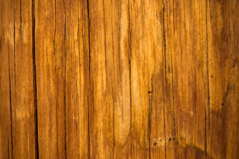 <a class="white" href="https://www.dropbox.com/s/6dh5oqcazhap9cj/cracked-wood-texture.jpg?dl=1">Download High-Resolution Photo</a> Bright wooden texture free stock pic