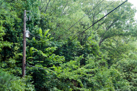 <a class="white" href="https://www.dropbox.com/s/mfl9l2q3imut2r2/power-lines.jpg?dl=1">Download High-Resolution Photo</a> Power lines and trees free stock photo