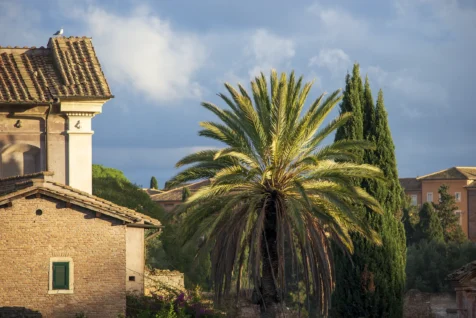 Assorted buildings and trees on a sunny day in Rome, Italy, 2022.
