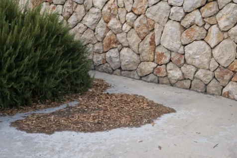 A bush, mulch and rock wall in Split, Croatia, 2019.