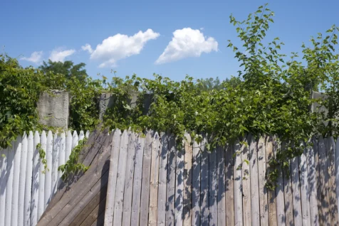 Clouds, shrubs and a fence in West Nyack, New York, 2016.