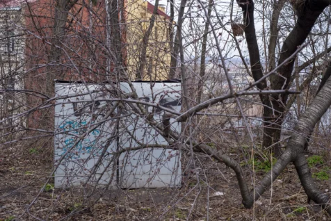 An electric box through trees at a park in Kyiv, Ukraine, 2020.