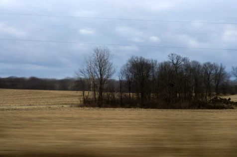 A field and trees in Indiana, 2016.
