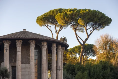 An old structure and trees on a sunny afternoon in Rome, Italy, 2022.