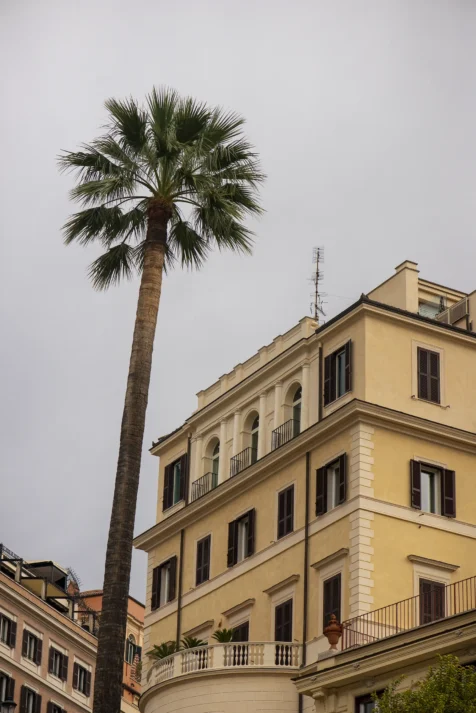 A palm tree and buildings in Piazza di Spagna in Rome, Italy, 2022.