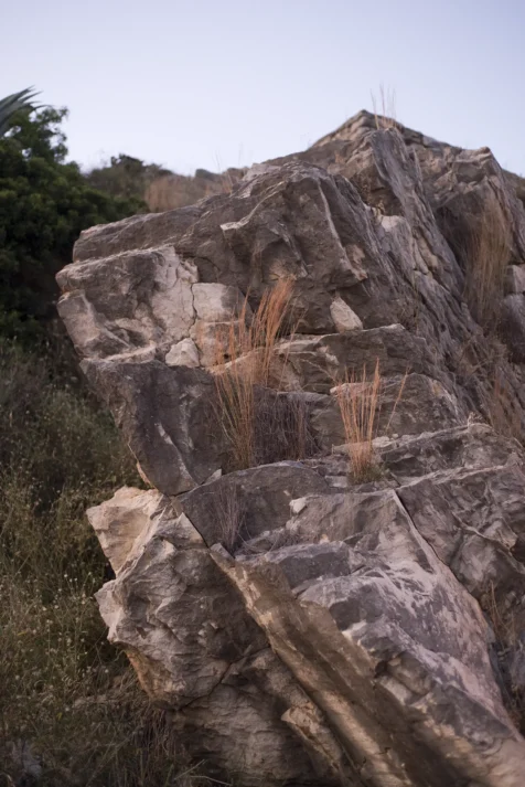 Rocks and plants near the beach in Split, Croatia, 2019.