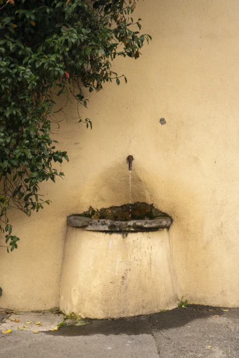 A water fountain and shrub in Rome, Italy, 2022.