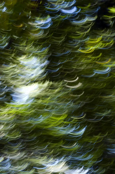 Abstract, long exposure of the sky and trees in Nyack, New York, 2015.