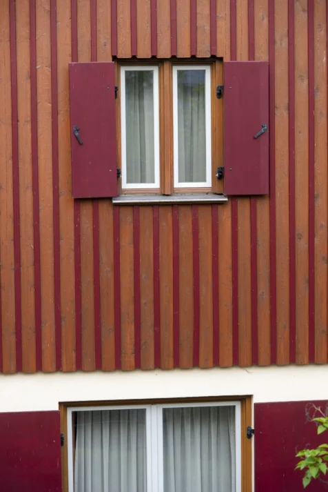 A colorful building and stray leaves in Ulm, Germany, 2023.