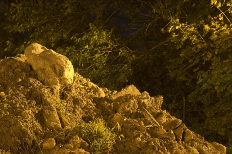 A heap of dirt and bushes illuminated by streetlights at night in Nyack, New York, 2015.