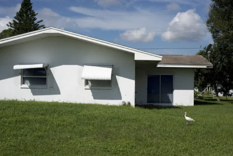 A white house and bird walking in the grass in Port Saint Lucie, Florida, 2016.