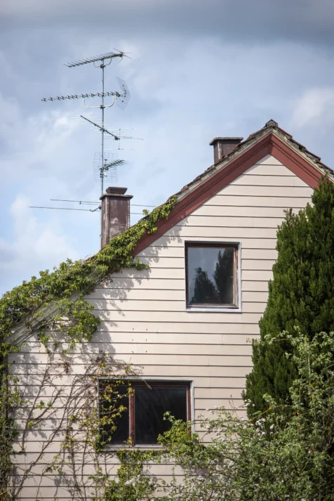 A house, antenna and assorted foliage in Wiblingen, Germany, 2023.
