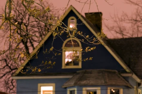 A house and branches at night in Nyack, New York, 2013.