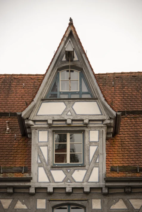 A lone pigeon rests atop a building in Ulm, Germany, 2023.