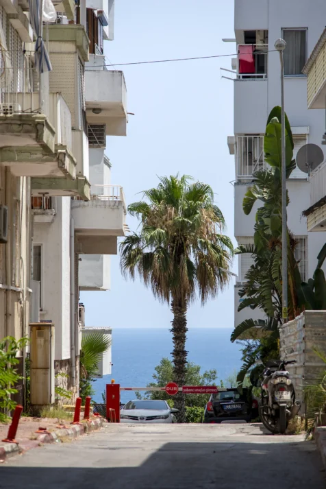 A palm tree between apartment buildings near the sea in Antalya, Turkey, 2023.