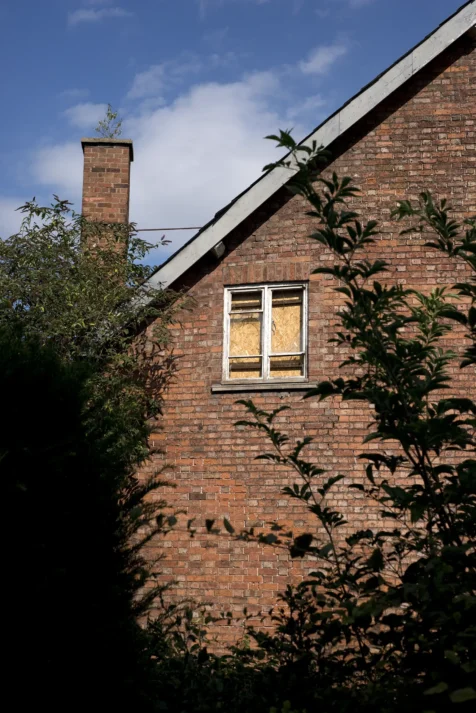 A plant in the chimney of an abandoned building on a sunny afternoon in Chester, England, 2017.
