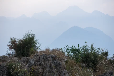 Plants and mountains in the background in Antalya, Turkey, 2023.