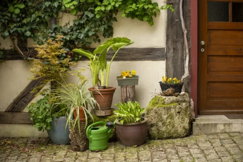 Potted plants near a wooden door in Blaubeuren, Germany, 2023.