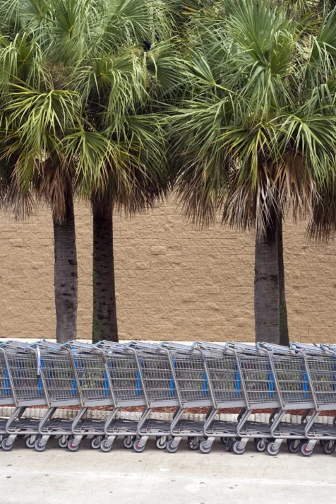 Shopping carts and palm trees outside a Walmart in Miami, Florida, 2016.