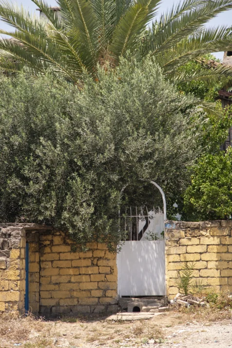 A stone wall, white door and plants in Antalya, Turkey, 2023.