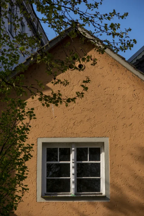 A sunlit building and leaves in Lindau, Germany, 2023.