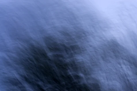 Abstract view of the trees and sky from a moving car, 2015.