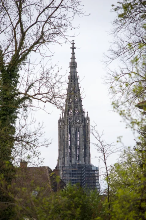 The Ulmer Munster Cathedral through foliage in Ulm, Germany, 2023.