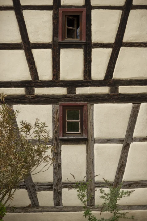 Unique building exterior and plants in Blaubeuren, Germany, 2023.