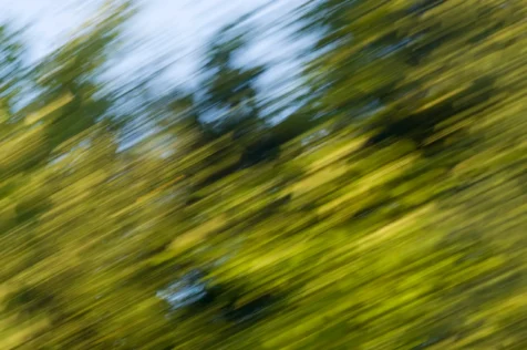 Long exposure of vibrant foliage and sky from a moving vehicle, 2014.