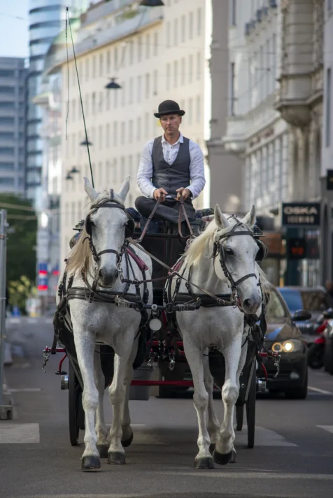A horse drawn carriage in Vienna, Austria, 2023.