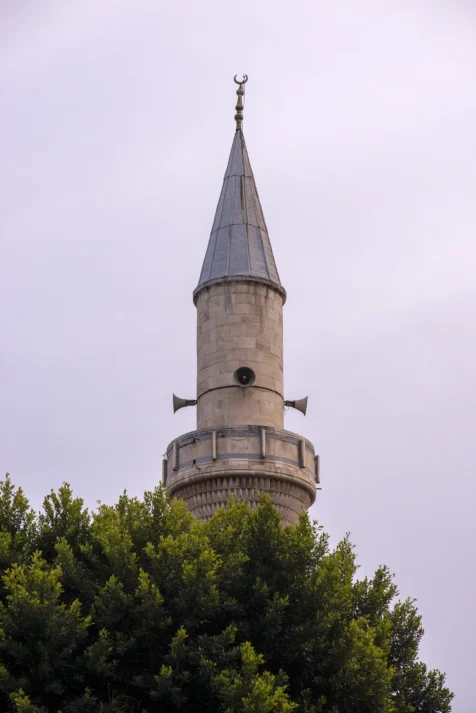 A mosque tower and tree in Antalya, Turkey, 2024.