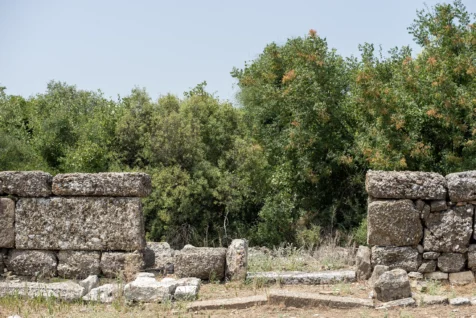 Old rock wall and plants in Aspendos, Turkey, 2024.